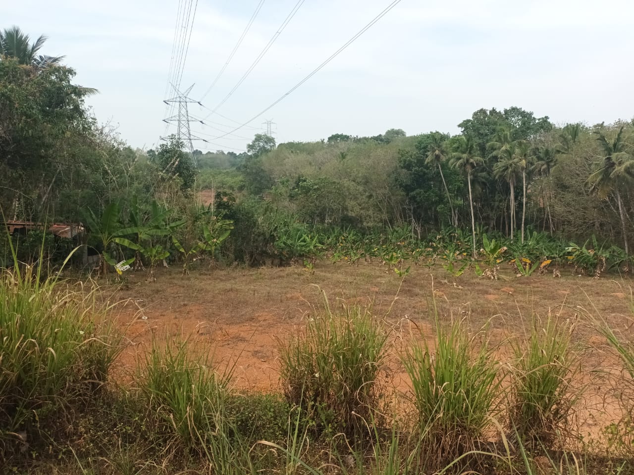 Road Side Land Property Available